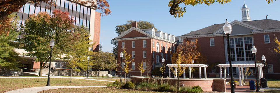 Courtyard behind DeGarmo Hall with white pavilions; fall leaves cover the trees and the ground.